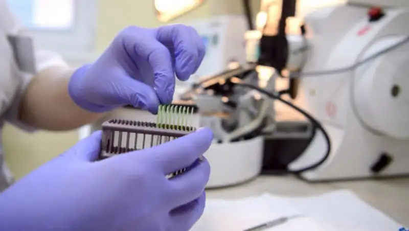 Озвучены итоги теста на коронавирус у гражданина ЮАР в Семее