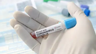 The People's Pharmacy, фото - Новости Zakon.kz от 03.05.2020 18:03