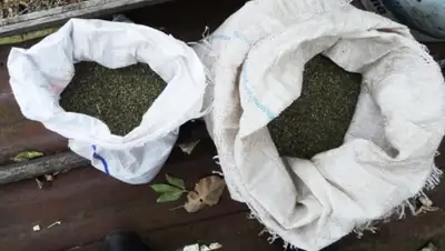 Zakon.kz, фото - Новости Zakon.kz от 21.11.2015 04:03