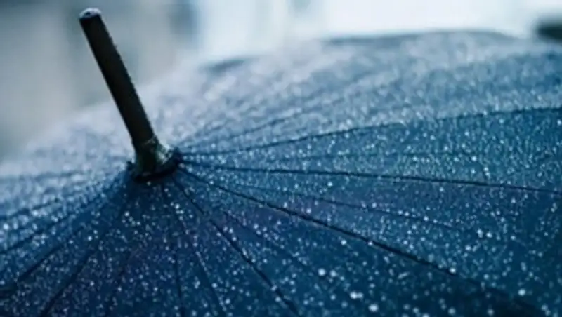 Теплая и дождливая погода ожидается перед Наурызом