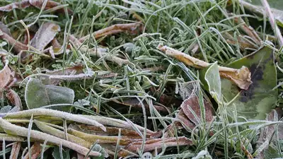 Неблагоприятные метеоусловия ожидаются в среду в Алматы и Актобе, фото - Новости Zakon.kz от 19.04.2023 02:22