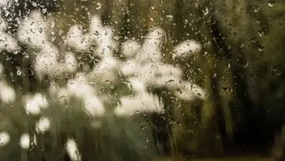 pexels.com, фото - Новости Zakon.kz от 02.05.2019 09:19