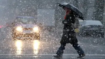 bucurestifm.ro, фото - Новости Zakon.kz от 14.03.2018 09:22