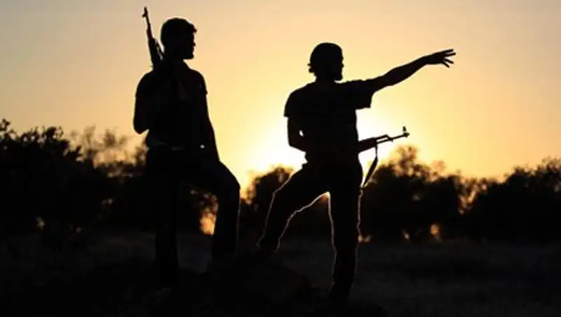 Грузия предложила готовить боевиков для сирийской оппозиции