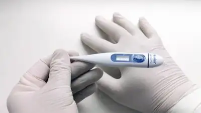 Pixabay, фото - Новости Zakon.kz от 16.10.2020 13:06