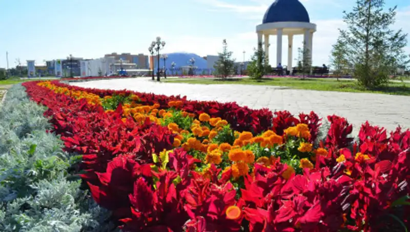 Весной в ЗКО посадят 50 тысяч саженцев