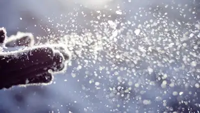 Zakon.kz, фото - Новости Zakon.kz от 28.10.2014 14:33