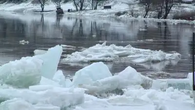 Zakon.kz, фото - Новости Zakon.kz от 14.03.2016 19:32