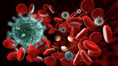 © Depositphotos / plrang, фото - Новости Zakon.kz от 02.03.2021 21:42