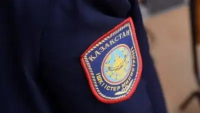 из открытых источников, фото - Новости Zakon.kz от 01.03.2018 19:39