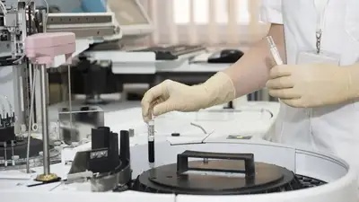 анализ крови после выкидыша, фото - Новости Zakon.kz от 07.06.2023 14:54