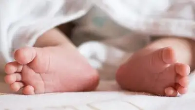 НГС - Омск, фото - Новости Zakon.kz от 26.04.2018 06:32