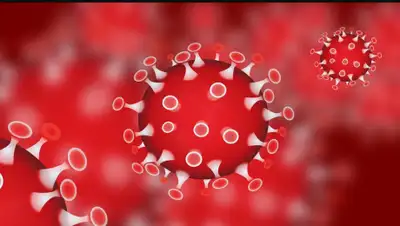 Хабар 24, фото - Новости Zakon.kz от 03.04.2020 12:01