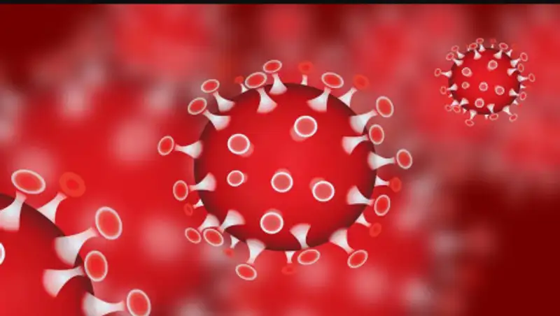 4 новых случая коронавируса зарегистрированы в Казахстане