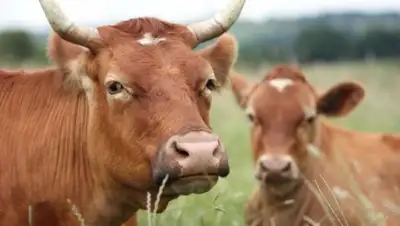 Zakon.kz, фото - Новости Zakon.kz от 30.09.2016 17:23