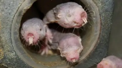 Zakon.kz, фото - Новости Zakon.kz от 13.07.2017 17:44