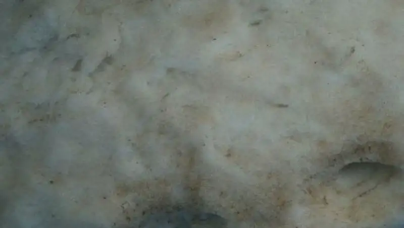 В Зыряновском районе выпал желтый снег