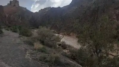 МЧС РК, фото - Новости Zakon.kz от 31.05.2021 15:41