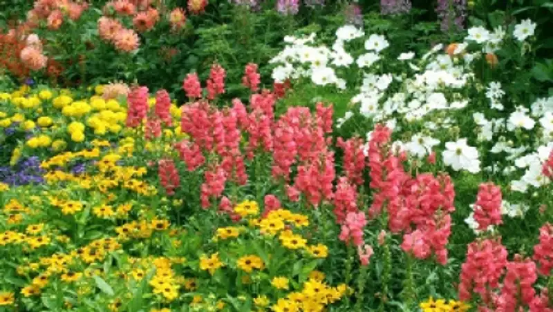 В Алматы будет засажено цветами 200 000 кв.м.