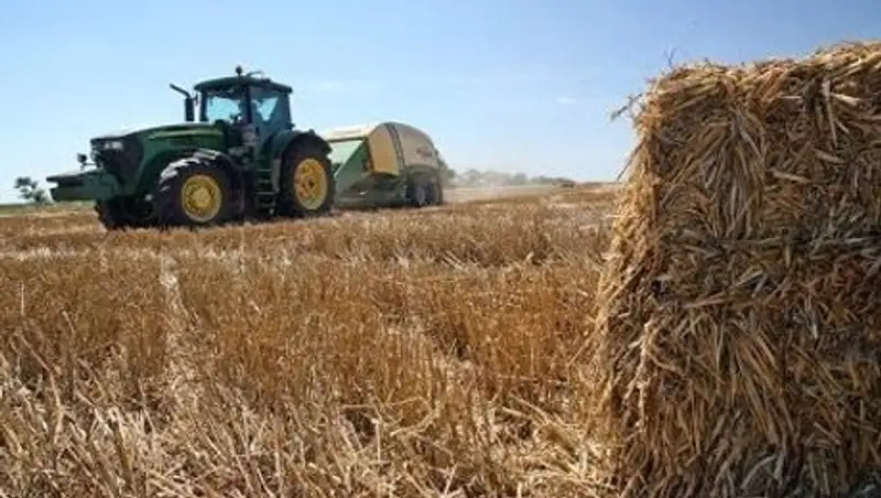 Казахстанец осужден в Беларуси за хранение 25 кг героина в стоге сена