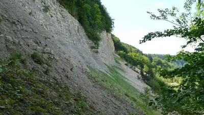 23 человека погибли в результате оползня в Эквадоре, фото - Новости Zakon.kz от 01.04.2023 10:23