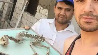 Zakon.kz, фото - Новости Zakon.kz от 26.07.2017 15:11