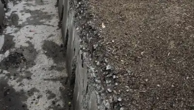 соцсети, фото - Новости Zakon.kz от 17.04.2019 22:06