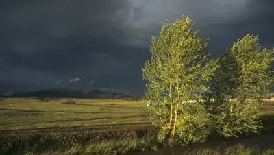 Zakon.kz, фото - Новости Zakon.kz от 29.05.2016 12:00