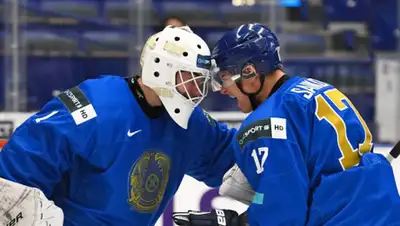 shaiba.kz, фото - Новости Zakon.kz от 04.01.2020 18:45