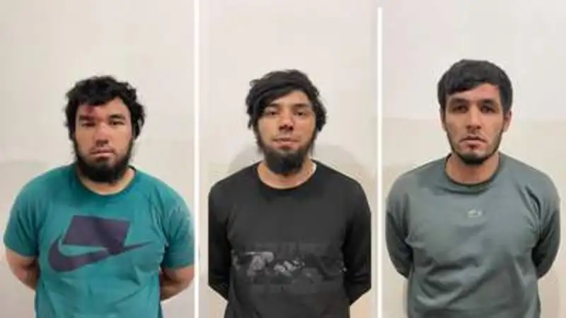 , фото - Новости Zakon.kz от 06.12.2023 01:39