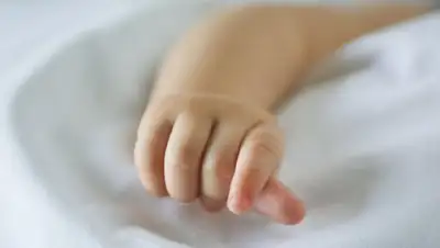 ndn.info, фото - Новости Zakon.kz от 14.07.2020 18:45