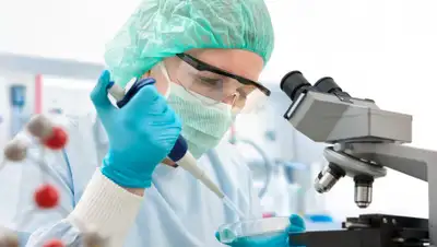 biz.liga.net, фото - Новости Zakon.kz от 29.04.2020 16:17