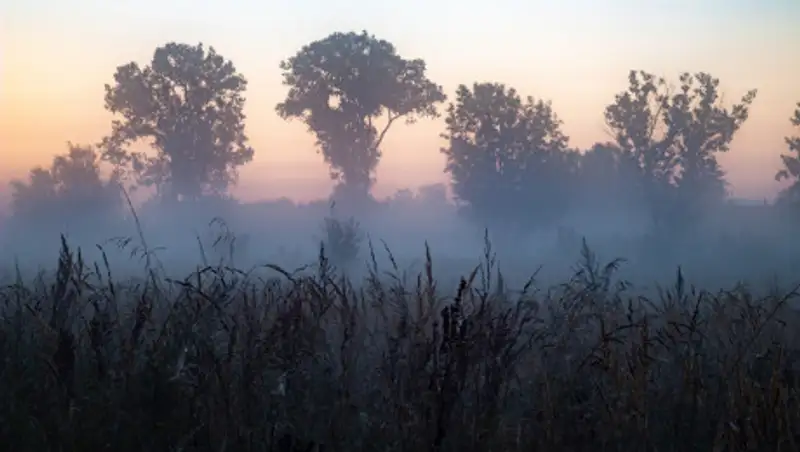Туман, дожди, метель: погода в Казахстане 24 октября