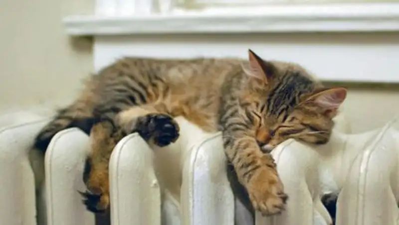 Отопительный сезон в Астане проходит в штатном режиме