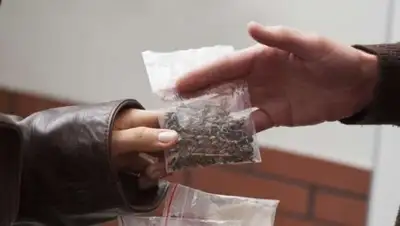 vitlprav.ru, фото - Новости Zakon.kz от 19.11.2018 14:49