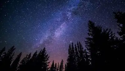 pixabay, фото - Новости Zakon.kz от 03.10.2021 11:43