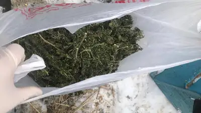 ДП Кызылординской области, фото - Новости Zakon.kz от 19.11.2021 15:58