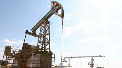 Скляр: Растущие потребности населения и промышленности требуют увеличения ресурсов нефти и газа, фото - Новости Zakon.kz от 01.02.2023 19:20
