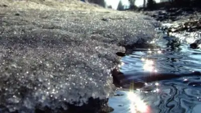 BNews.kz, фото - Новости Zakon.kz от 08.04.2018 10:29