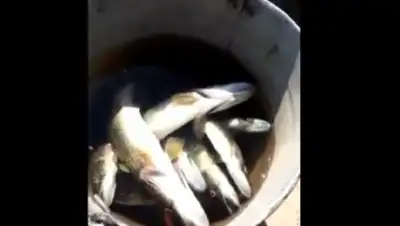 Zakon.kz, фото - Новости Zakon.kz от 12.07.2016 21:22