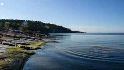 Zakon.kz, фото - Новости Zakon.kz от 15.07.2017 13:54