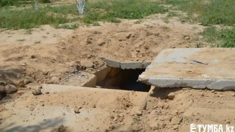 В актауском парке «Акбота» волонтеры освободили замурованную собаку