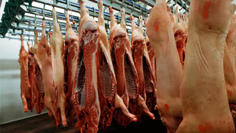 Россия отменила ограничения на ввоз продукции животноводства из Акмолинской области, фото - Новости Zakon.kz от 26.10.2013 18:22