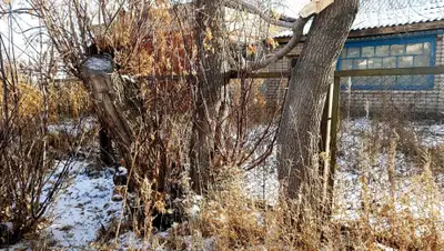 pkzsk.info, фото - Новости Zakon.kz от 19.11.2019 06:40