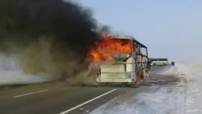 Otyrar.kz, фото - Новости Zakon.kz от 28.08.2018 19:50