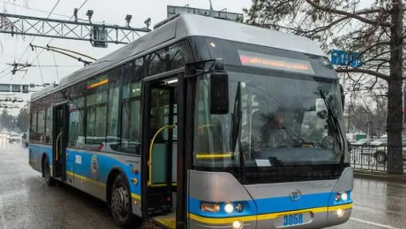 Алматыда жолды&#1187; &#1179;арсы бетіне шы&#1171;ып кеткен троллейбус ж&#1199;ргізушісі &#1241;кімшілік жаза&#1171;а тартылды