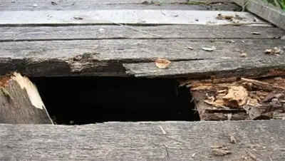 Zakon.kz, фото - Новости Zakon.kz от 19.11.2013 16:23