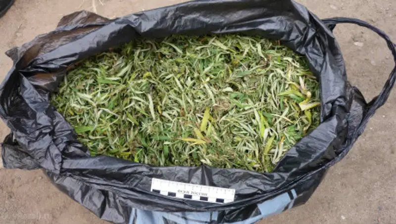 Полицейские задержали двоих наркодилеров в Алматинской области