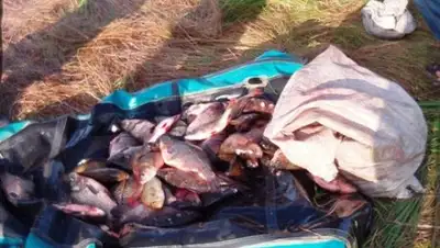 Zakon.kz, фото - Новости Zakon.kz от 08.08.2017 18:35