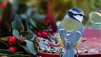 кормление животных, фото - Новости Zakon.kz от 27.07.2022 15:09